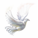 Dove Magnet Fotobeeldje Magneet<br><div class="desc">Dove magnet</div>