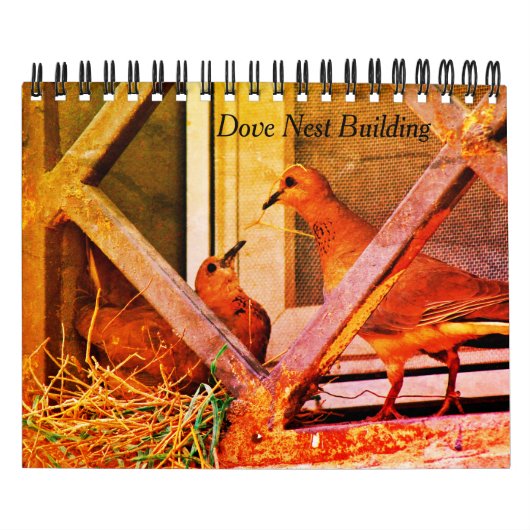 Dove Nest Building Kalender (Hoes)