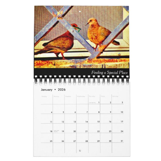 Dove Nest Building Kalender (Jan 2026)