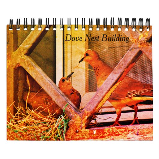 Dove Nest Building Kalender (Hoes)