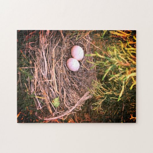 Dove Nest & Eggs Legpuzzel (Horizontaal)