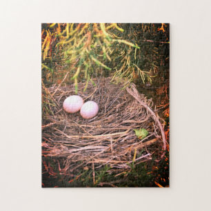 Dove Nest & Eggs Legpuzzel