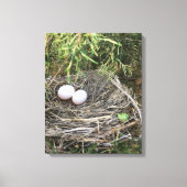 Dove Nest op canvas Afdruk (Voorkant)