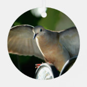 Dove of Peace Bird Photography Customizable Metalen Ornament (Achterkant)