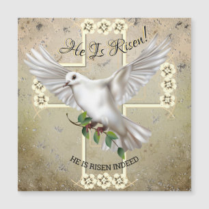 Dove of Peace Pasen