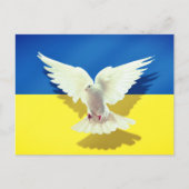 Dove of Peace UKraine Flag Kaart - Freedom (Voorkant)