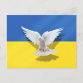 Dove of Peace - vlag van Oekraïne - vrijheid - vre Briefkaart (Voorkant)