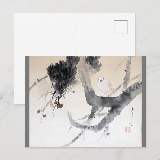 Dove on a Pine Tree, Watanabe Seitei Briefkaart (Voorkant / Achterkant)