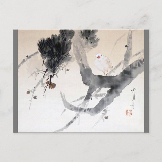 Dove on a Pine Tree, Watanabe Seitei Briefkaart (Voorkant)