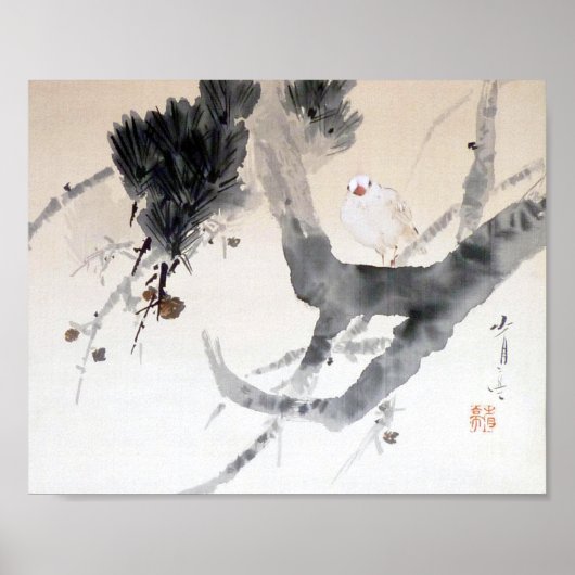 Dove on a Pine Tree, Watanabe Seitei Poster (Voorkant)