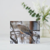 Dove op een Briefkaart van Snowy Day (Staand voorkant)