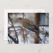 Dove op een Briefkaart van Snowy Day (Voorkant / Achterkant)