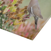 Dove op een Cactus Snijplank (Hoek)