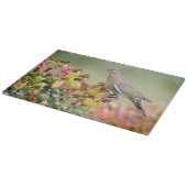 Dove op een Cactus Snijplank (Hoek)