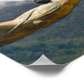 Dove, Pachacuti Statue Arm, Aguas Calientes, per Poster (Hoek)