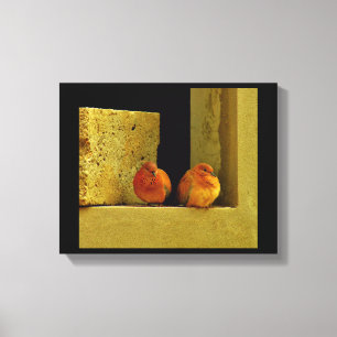 Dove Pair Canvas Afdruk