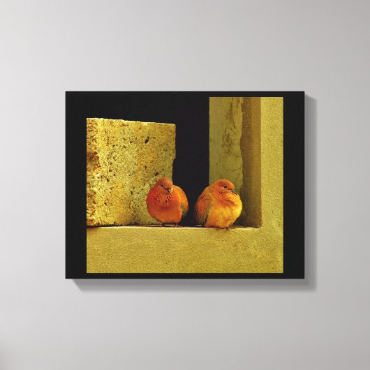 Dove Pair Canvas Afdruk (Voorkant)