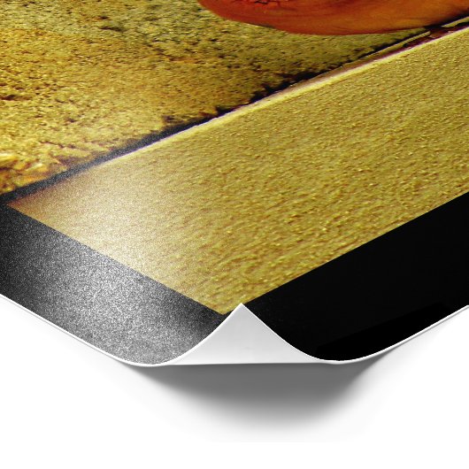 Dove Pair Foto Afdruk (Hoek)