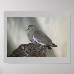 Dove Print comprimeren