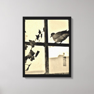 Dove Resting Canvas Afdruk