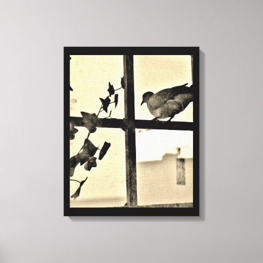 Dove Resting Canvas Afdruk (Voorkant)