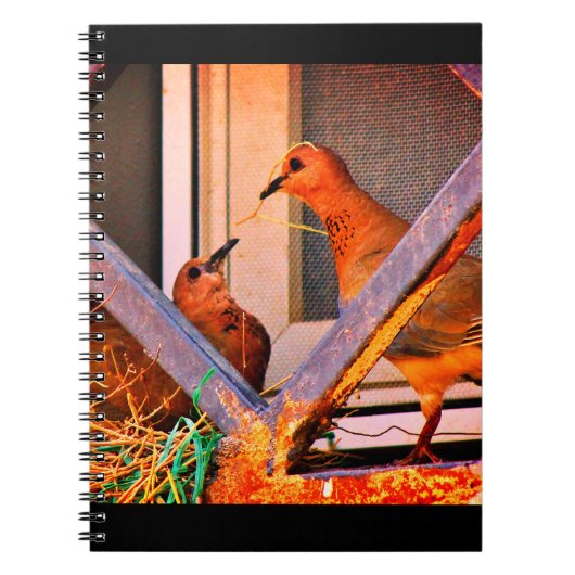 Dove Romance Notitieboek (Voorkant)