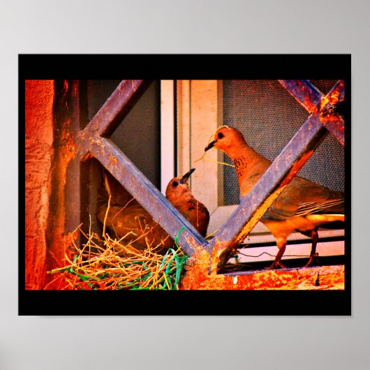 Dove Romance Poster (Voorkant)