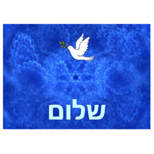 Dove - Shalom Fotobeeldje Magneet