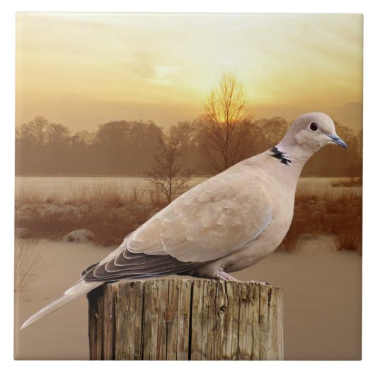 DOVE TEGELTJE (Voorkant)