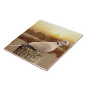 DOVE TEGELTJE (Zijkant)