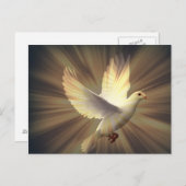 Dove van vrede. briefkaart (Voorkant / Achterkant)