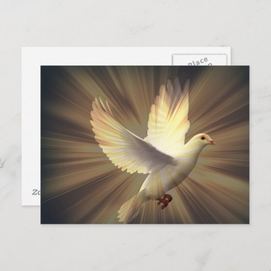 Dove van vrede. briefkaart (Voorkant / Achterkant)