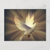 Dove van vrede. briefkaart (Voorkant)