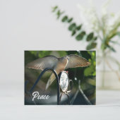 Dove Wings Spread Peace Photographic Briefkaart (Staand voorkant)