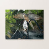 Dove Wings Spread Vogelvoeder Fotografische Vogel Legpuzzel (Horizontaal)