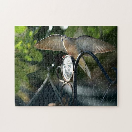 Dove Wings Spread Vogelvoeder Fotografische Vogel Legpuzzel (Horizontaal)