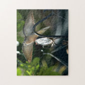 Dove Wings Spread Vogelvoeder Fotografische Vogel Legpuzzel (Verticaal)