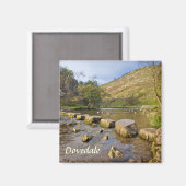 Dovedale, Derbyshire Peak District souvenir foto Magneet (Voorkant / Achterkant)