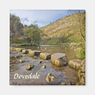 Dovedale, Derbyshire Peak District souvenir foto Magneet