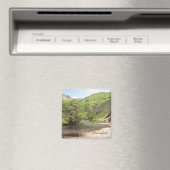 Dovedale Magneet (Insitu (Vaatwasser))