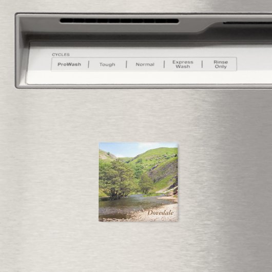 Dovedale Magneet (Insitu (Vaatwasser))