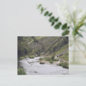 Dovedale Peak District briefkaart (Staand voorkant)