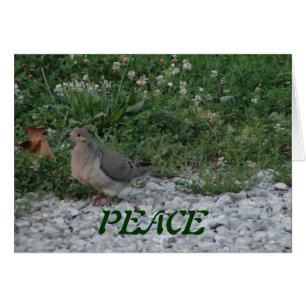 Doven, Colossians 3:15