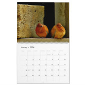 Doven en duiven kalender (Jan 2026)