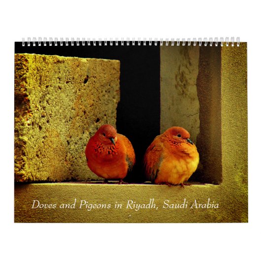 Doven en duiven kalender (Hoes)