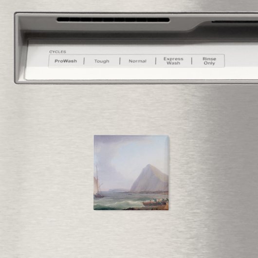 Dover Cliffs Magneet (Insitu (Vaatwasser))