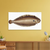 Dover Sole (Solea Solaea) bord XLV uit 'Ichthyol Canvas Afdruk (Insitu (Woonkamer))
