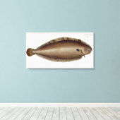 Dover Sole (Solea Solaea) bord XLV uit 'Ichthyol Canvas Afdruk (Insitu (Houten vloer))
