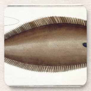 Dover Sole (Solea Solaea) bord XLV uit 'Ichthyol Onderzetter