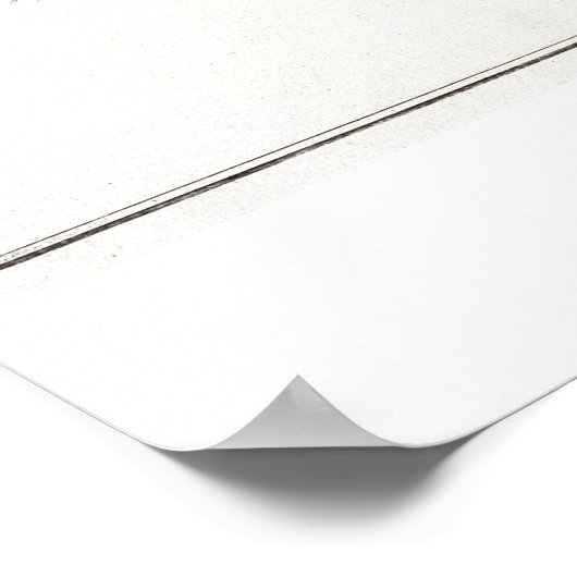 Dover Sole (Solea Solaea) bord XLV uit 'Ichthyol Poster (Hoek)